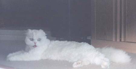 Ed_Rachel_FirstClient