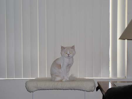 TheBoys(BadHairCut)001