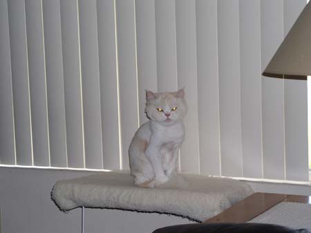 TheBoys(BadHairCut)002