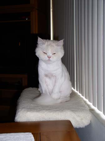 TheBoys(BadHairCut)004