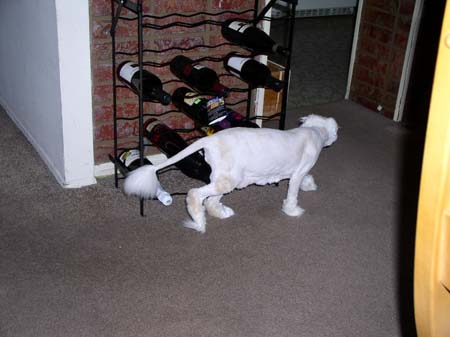 TheBoys(BadHairCut)006