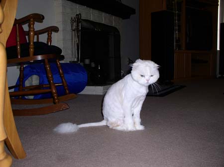 TheBoys(BadHairCut)014