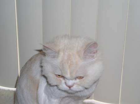 TheBoys(BadHairCut)015