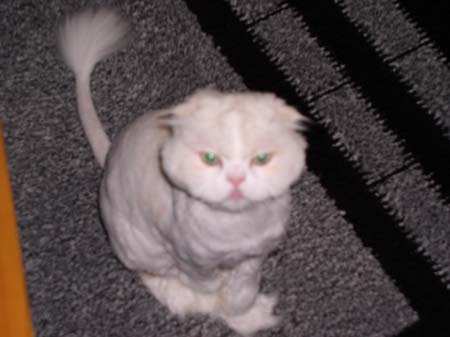 TheBoys(BadHairCut)016