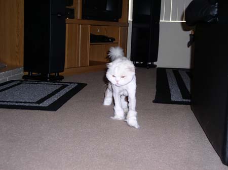 TheBoys(BadHairCut)017